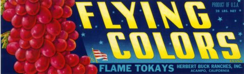 Flying Colors
